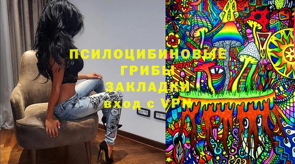 индика Алексеевка