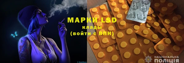 PSILOCYBIN Алзамай