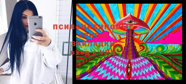 PSILOCYBIN Алзамай
