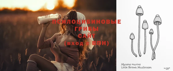 индика Алексеевка