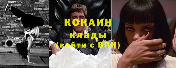 индика Алексеевка