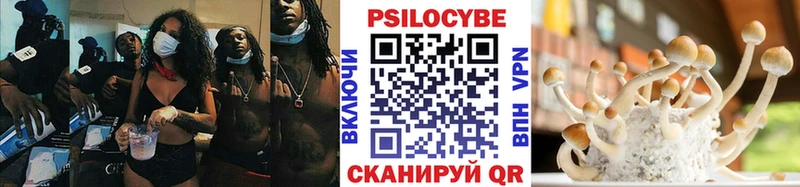 Галлюциногенные грибы Psilocybine cubensis  Алагир 