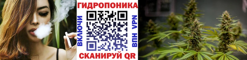 Бошки Шишки AK-47 Алагир